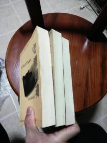 灵魂守望与时代回响 文学随笔中的城市镜像与精神坐标